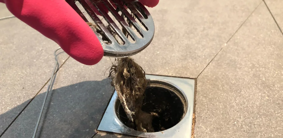 Drain Cleaning